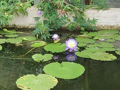 -国家植物园南园