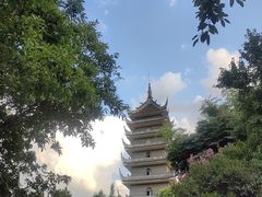 -生宇山珍野生菌汤锅•始于1999(双流古塔店)
