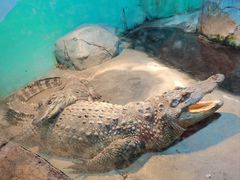 -新疆天山野生动物园