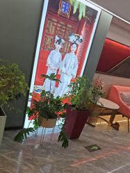 -爱儿美儿童摄影(奥森公园店)