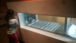 -北京科学中心儿童乐园