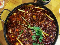 -鸿顺老铁锅美蛙鱼府(解放碑店)