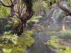 -Chom Cafe and Restaurant