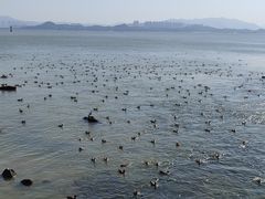 -深圳湾公园(南山区)