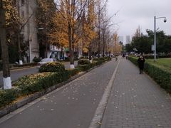 -四川大学(望江校区)