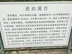-横道河子东北虎林园