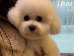 -帕帕拉兹宠物(亚洲旗舰店)