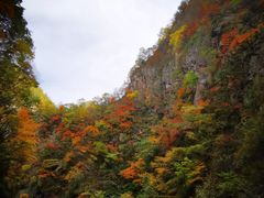 -秦岭风景区