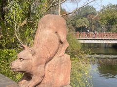 -桂湖森林公园