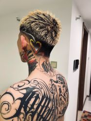 -GANO HAIR 