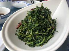养生枸杞苗-老毛手抓·盐池滩羊非遗手抓(宁夏总店)