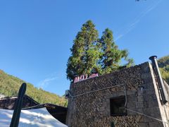 -MOJ coffee(瓯海泽雅水碓坑店)