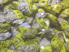 -聚盛源蒸汽海鲜火锅烤肉自助(巨川金海岸购物广场店)