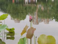 -太阳宫公园