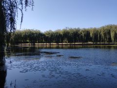 -东坝千亩湖公园