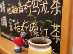 -猫的天空之城概念书店(印象城购物中心店)