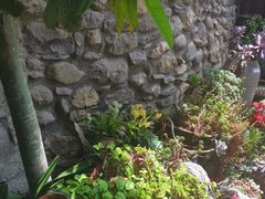 -尽善百年古院餐厅(王家老宅店)