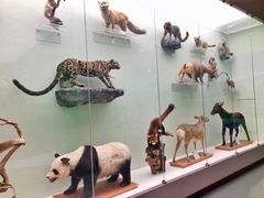 -国家自然博物馆