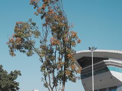 -四川大学(望江校区)