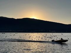 -海埂大坝
