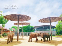 -常州淹城野生动物世界