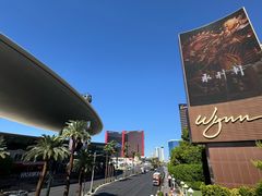 -拉斯维加斯永利酒店