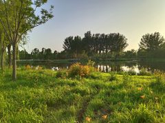 -东郊湿地公园