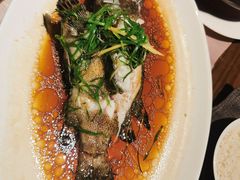 -采悦轩中餐厅·粤菜·海南菜(神州半岛喜来登度假酒店)