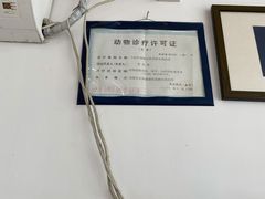 -灵美宠物诊所