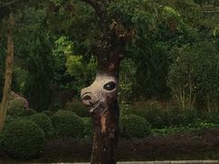 -东部华侨城