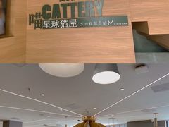 -CAT’S MEWSTAR CAFE·喵星球猫屋(晴湾咖啡店)