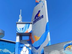 -海合安青岛极地海洋公园