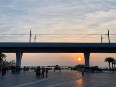 -宝安西湾红树林湿地公园