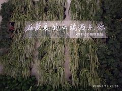 -WFC会仙楼观景台