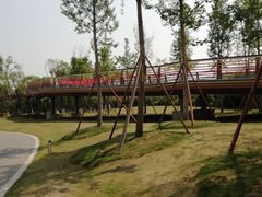 -府河摄影公园