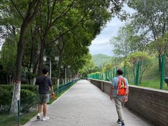 -南凉虎台遗址公园