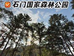 -广州市石门国家森林公园
