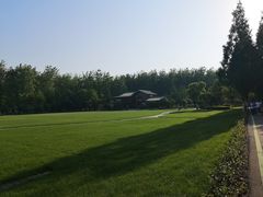 -合肥滨湖国家森林公园