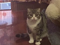 -佳雯宠物医院(四明中路分院)