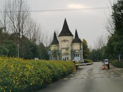 -紫颐香薰山谷景区