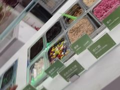 -Salud撒露欧洲冻酸奶(五道口购物中心店)
