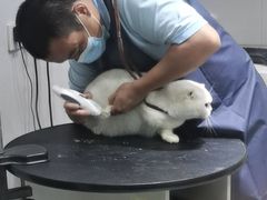 -宠颐生动物医院·小陆分院