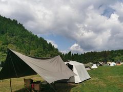 -武陵山森林公园