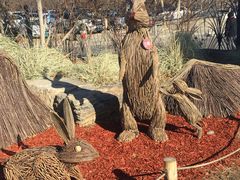 -北京西山国家森林公园