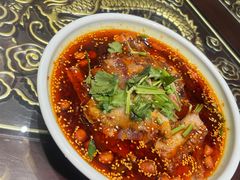 -陈麻婆豆腐总店