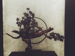 -华夏良子·足道SPA艾灸(王府井店)