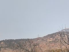 -泰安东尊华美达广场酒店(泰山景区店)