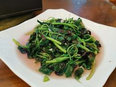 -小春农家乐