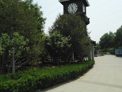 -永定河休闲森林公园