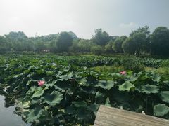 -美兰湖景区